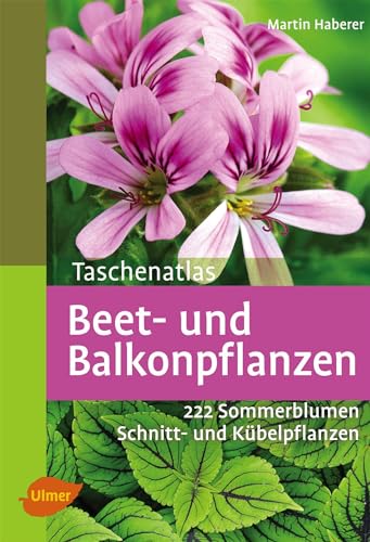 Beet- und Balkonpflanzen: 222 Sommerblumen, Kübelpflanzen und Schnittpflanzen von Ulmer Eugen Verlag